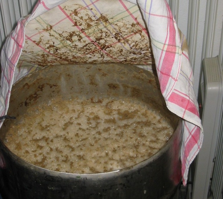 Gärung Tag 3